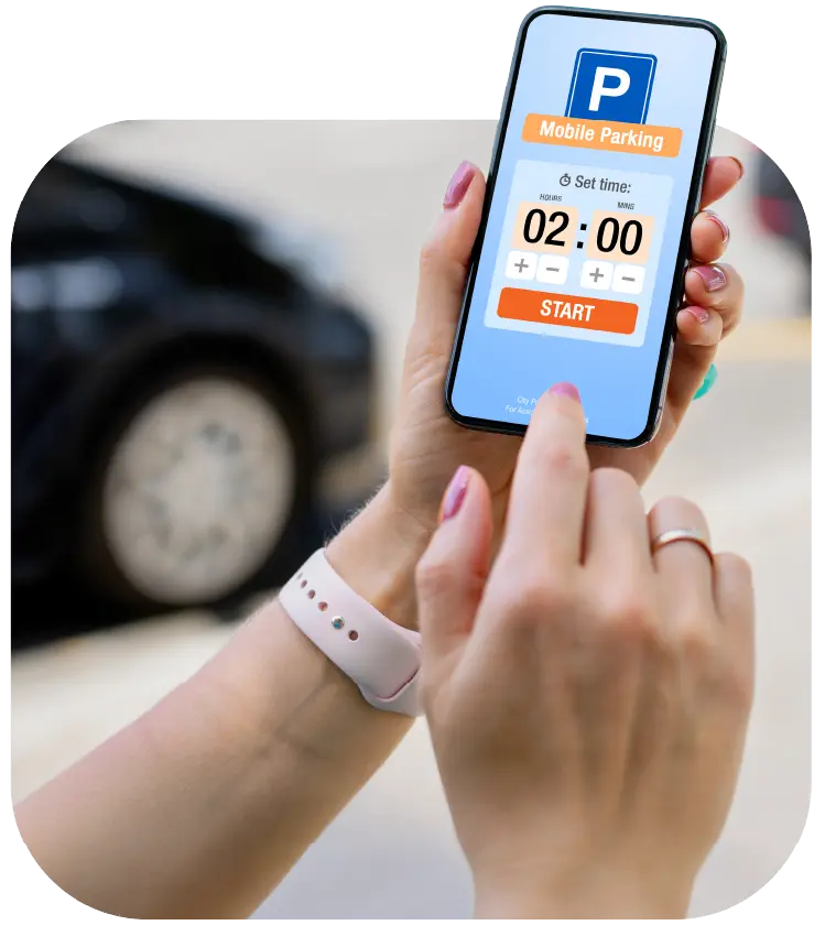 Monthly Parking Visual